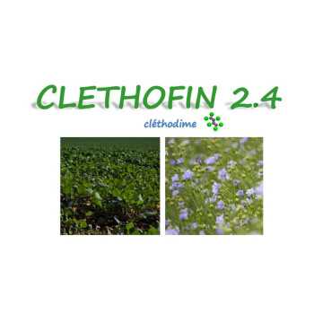 CLETHOFIN 2.4