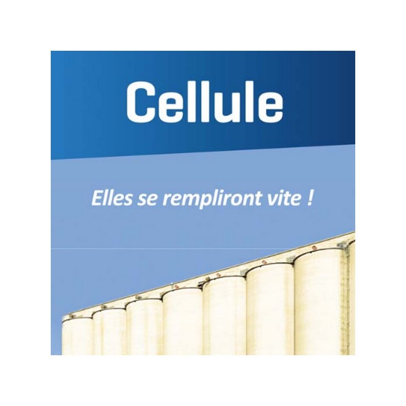 Blé CELLULE