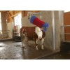 BROSSE A VACHE HAPPYCOW Swing