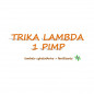 TRIKA LAMBDA 1 PIMP