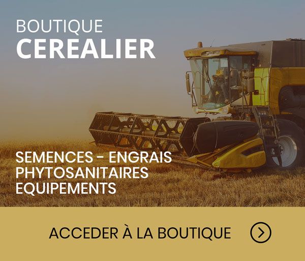 boutique cerealier