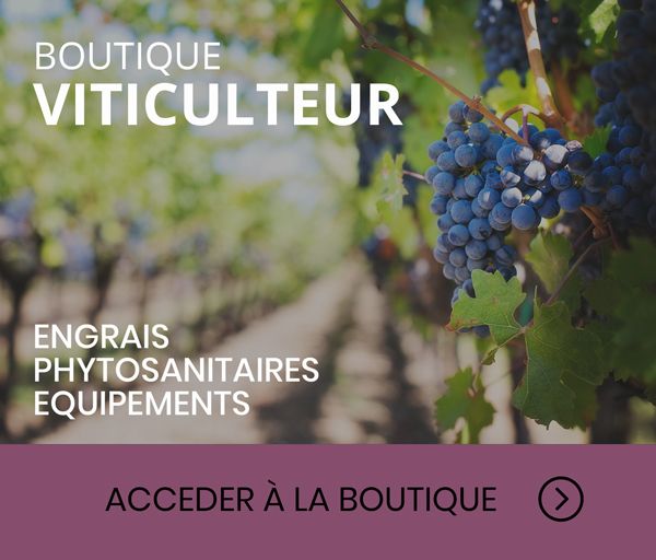 boutique viticulteur