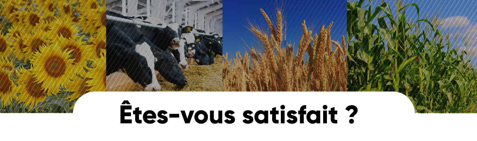 recrutement