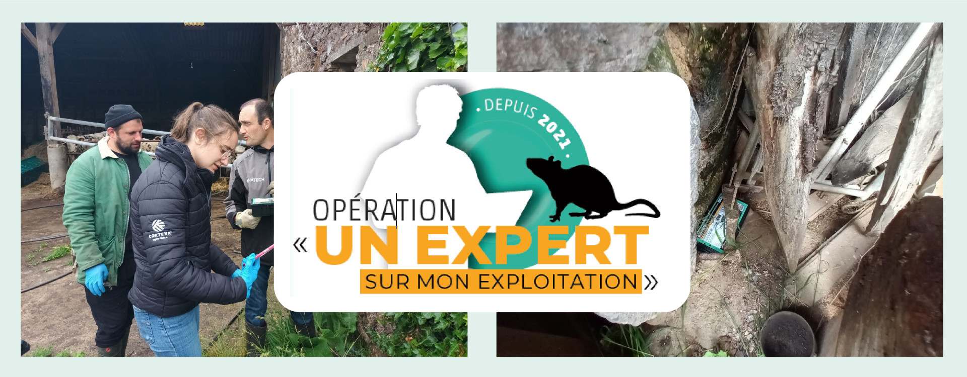 Agri-reportage : "Un expert sur mon exploitation" - Manche